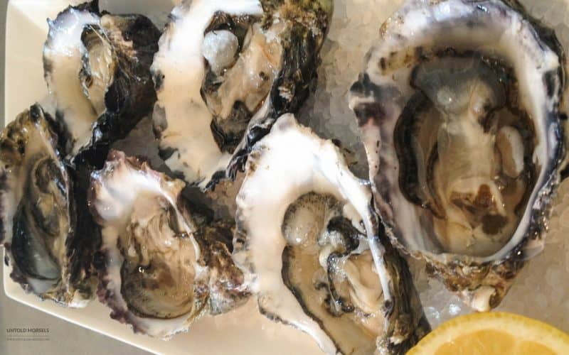 Photo tour and top 10 things to do in Hobart Tasmania