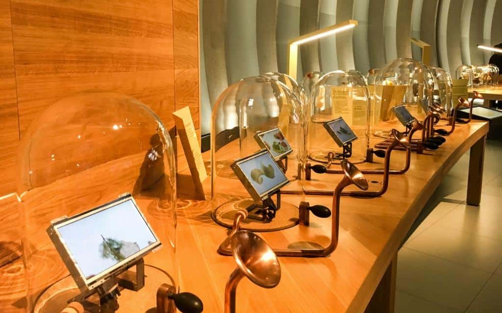 Bordeaux wine museum La Cité du Vin