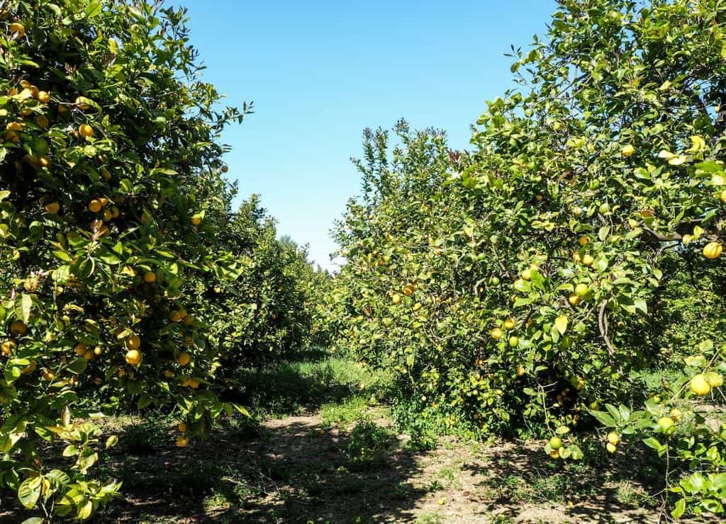 Top 10 incredible things to do in Sicily ancient ruins, coastline and